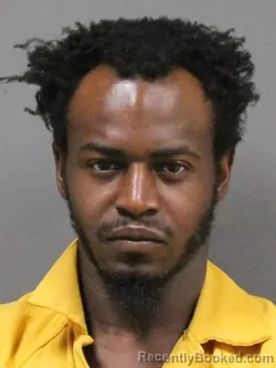 Booking photo from DeSoto County, Mississippi