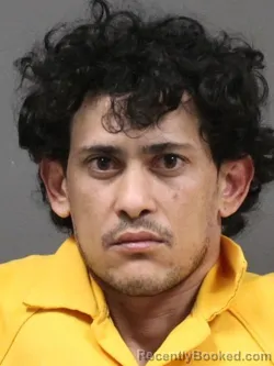 Mugshot of ANDY ALIENDRES MALAVE