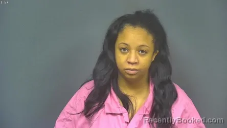 Mugshot of ASHLEY NICOLE MCDONALD