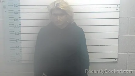 Mugshot of AMANDA B RAINES