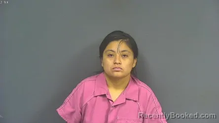 Mugshot of ANA PATRICIA TOMAS booked in DeSoto County, Mississippi on May 10, 2026