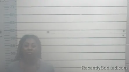 Mugshot of ARIEL KAYLIE TURNER