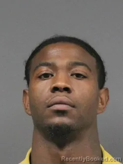 Mugshot of ANFANI KEESHON THORNTON booked in DeSoto County, Mississippi on March 29, 2026