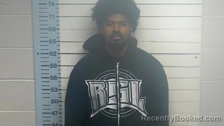 Mugshot of BRIAN LAVEL CARNEY