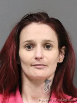 Mugshot of BRITTAN M HOGELAND booked in DeSoto County, Mississippi on May 8, 2026