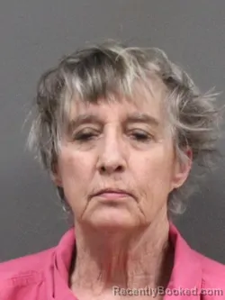 Mugshot of BRENDA KAY PERSON booked in DeSoto County, Mississippi on June 10, 2026