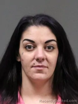 Mugshot of BRITTNEY RALLEO booked in DeSoto County, Mississippi on May 14, 2026
