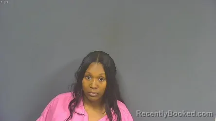 Mugshot of Briana Selery booked in DeSoto County, Mississippi on July 28, 2026