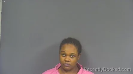 Mugshot of BREANNA NICOLE TYLER booked in DeSoto County, Mississippi on April 26, 2026