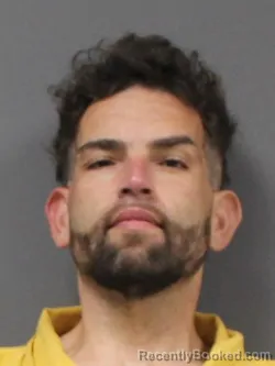 Mugshot of BUBBIE CURTIS WELLS