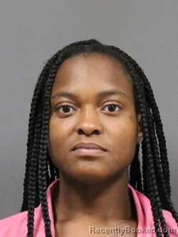 Mugshot of Chelsea L Black booked in DeSoto County, Mississippi on July 27, 2026