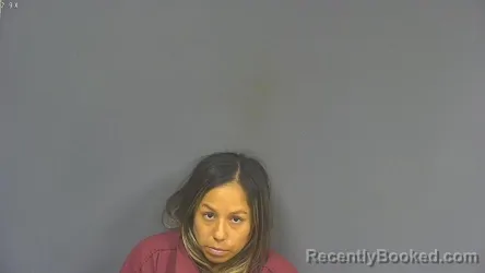 Mugshot of Cinttya Chile Saldivar booked in DeSoto County, Mississippi on September 25, 2026