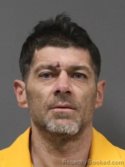 Booking photo from DeSoto County, Mississippi