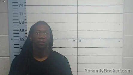 Mugshot of Canaris Deandrea Mitchell booked in DeSoto County, Mississippi on July 26, 2026