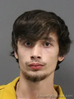 Mugshot of COLTON PRYCE PERRY