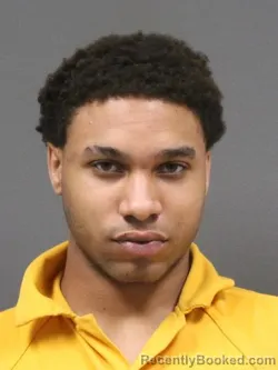 Mugshot of CHRISTIAN DESHAWN WILLIAMS