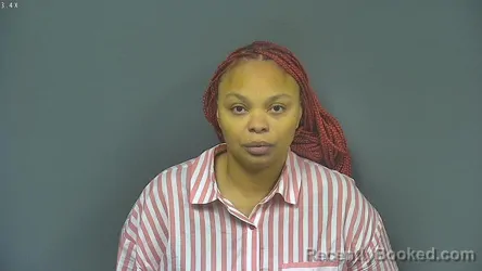 Mugshot of CLARISSA WILLIAMS