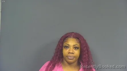 Mugshot of DAKRISHA DASHA BELL booked in DeSoto County, Mississippi on March 29, 2026