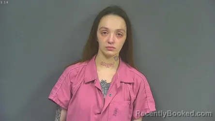 Mugshot of DESTINY MARIE DIZICK