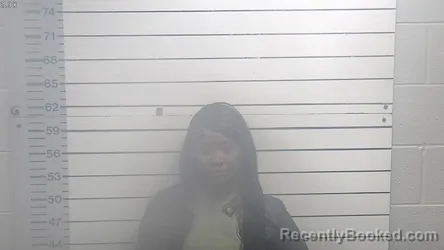 Mugshot of DECEMBER I DAVIS