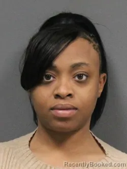 Mugshot of DESTINI NICOLE FLETCHER