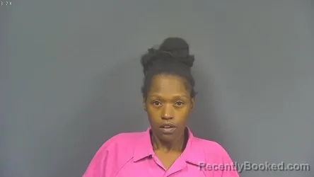 Mugshot of Dricka Fifer booked in DeSoto County, Mississippi on August 23, 2026