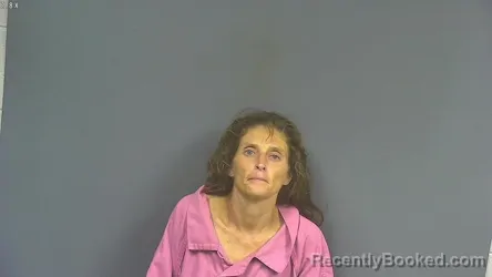 Mugshot of Dana Leeann Lane booked in DeSoto County, Mississippi on July 25, 2026