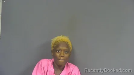 Mugshot of Dante Danielle Mull booked in DeSoto County, Mississippi on July 27, 2026