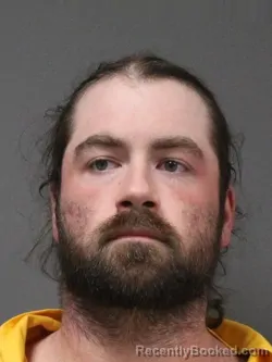 Mugshot of DALTON MATTHEW NUTTING