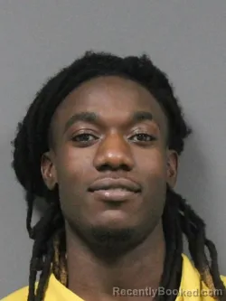 Mugshot of DEVIN PALMER