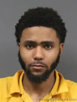 Mugshot of DIEZEL ARMAND SWEETEN