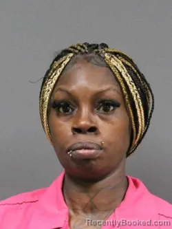 Mugshot of DINEKA R WILKINS booked in DeSoto County, Mississippi on May 12, 2026