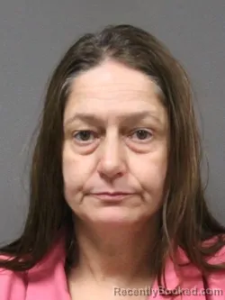 Mugshot of DIANE WILLIAMS