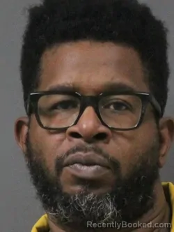 Mugshot of DANA R WILLIAMS