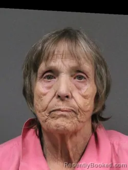 Mugshot of ELYSE R BORZELLO