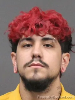 Mugshot of ERIC ARMANDO MENDOZA