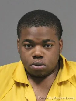 Mugshot of ERVIN JEROME PALMER booked in DeSoto County, Mississippi on April 19, 2026