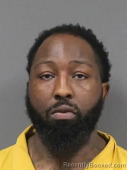 Mugshot of GEORGE LAVARN NEWSON