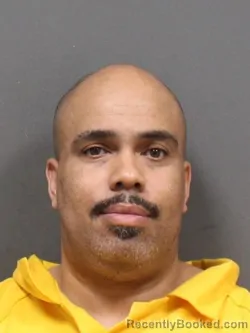 Mugshot of GAVIN ANASTASIA TURNER