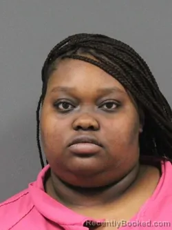 Mugshot of GABRIELLE KENNEDY WILSON