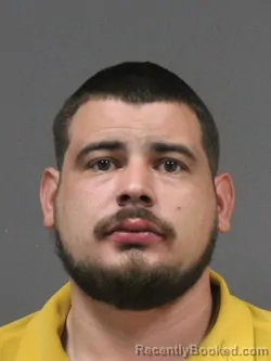 Mugshot of HECTOR MANUEL FLORES