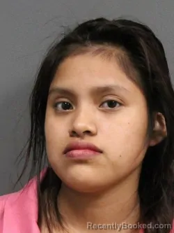 Mugshot of HILDA YOLANDA GODINEZ GOMEZ booked in DeSoto County, Mississippi on June 27, 2026