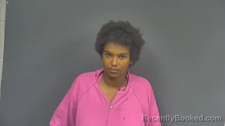 Mugshot of Hanna Ali Omar booked in DeSoto County, Mississippi on September 25, 2026