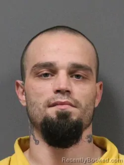 Mugshot of JAMES ARNOLD