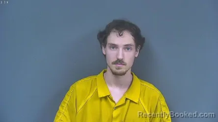 Mugshot of JOHN LEE BULLER