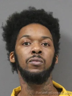 Mugshot of JAKE ANTINO EDMOND BLAND