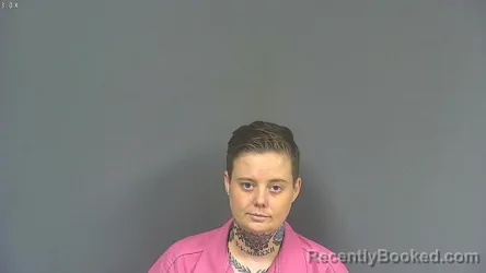 Mugshot of JULIE LYNN ELLIS booked in DeSoto County, Mississippi on June 14, 2026