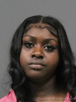 Mugshot of Jamera L Hudson booked in DeSoto County, Mississippi on August 28, 2026