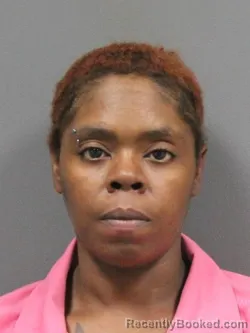 Mugshot of JESSICA NICOLE HOPSON