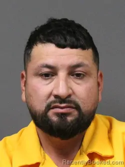 Mugshot of JUAN CARLOS HERNANDEZ-RENA